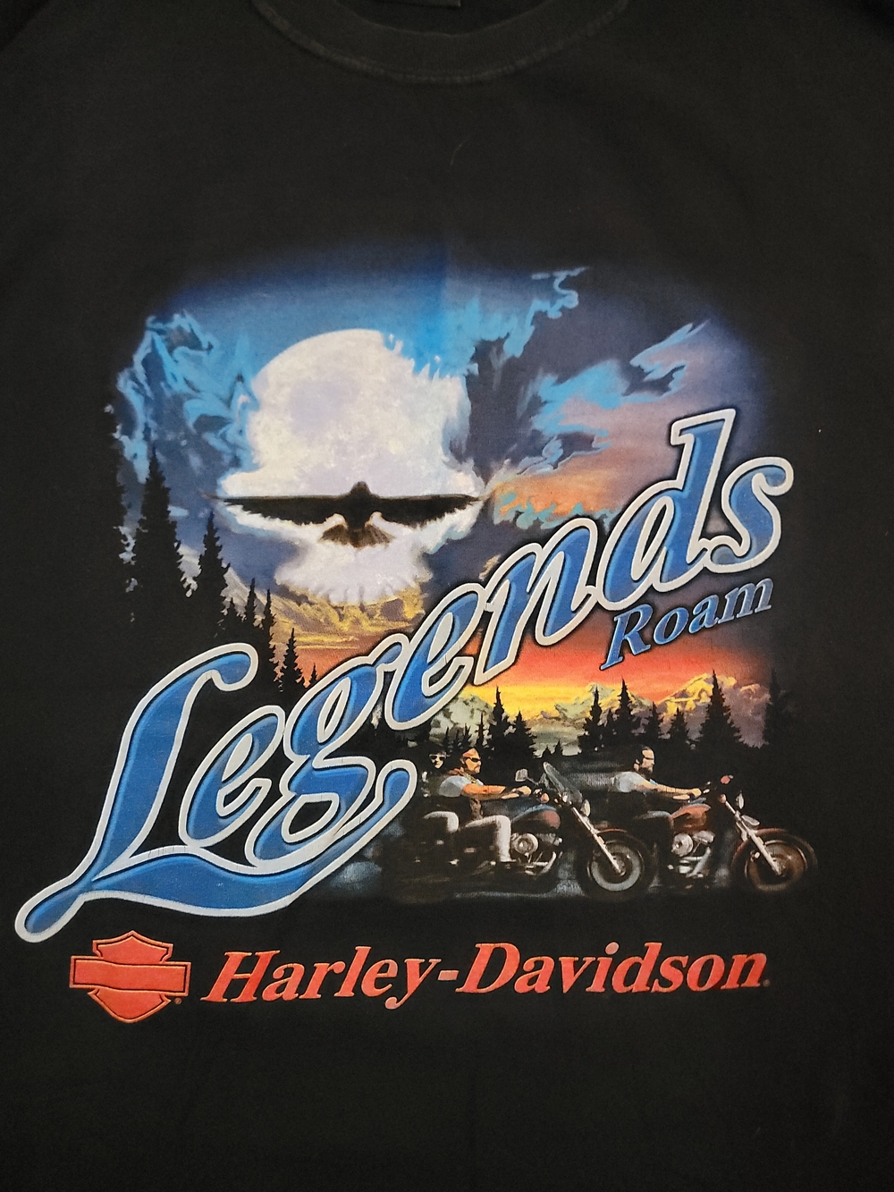 VTG Harley Davidson Pensacola Florida